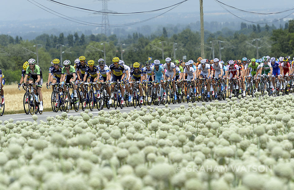 2013 Tour de France