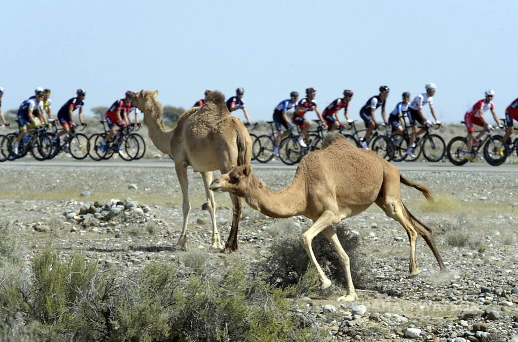 40 Years of Cycling